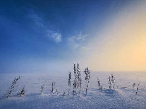 learning photography, landscape, winter, snow, cold, prairie, Dan Jurak, surreal, foggy,