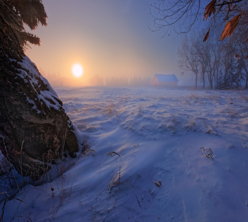 moody, winter, landscape, prairie, foggy, fog, snow, sunrise, dawn, Alberta, farm, Dan Jurak,